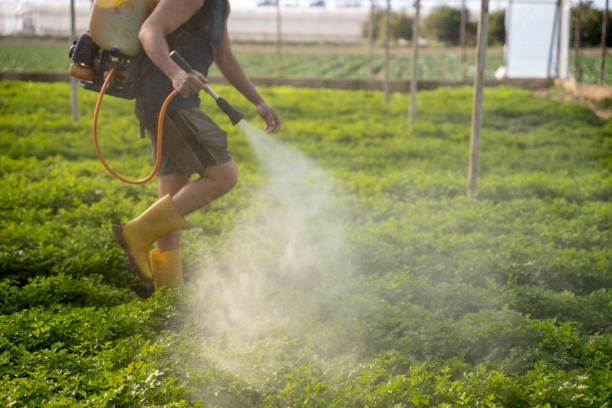 Best Wasp Removal Services  in Oakmont, PA