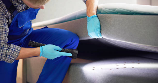 Best Bed Bug Extermination  in Oakmont, PA